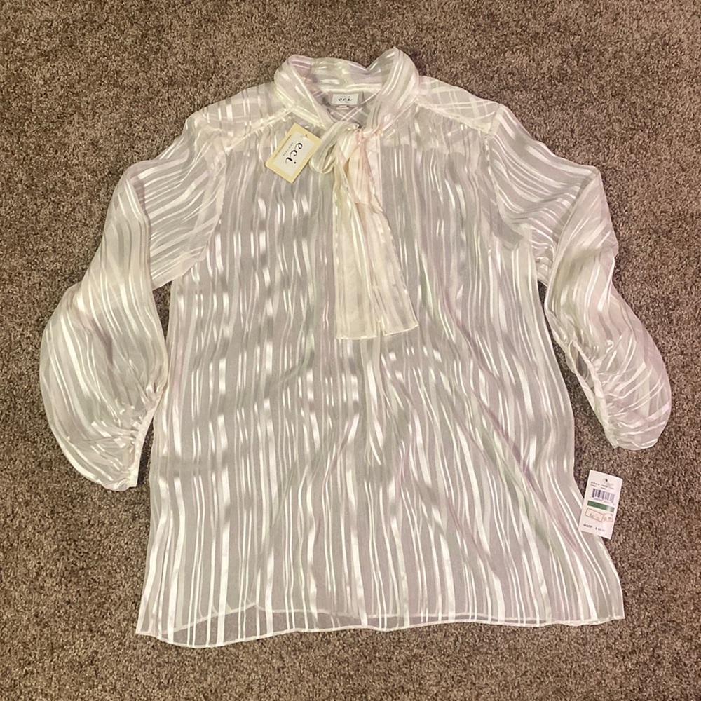 NWT Eci Ivory Sheer Blouse